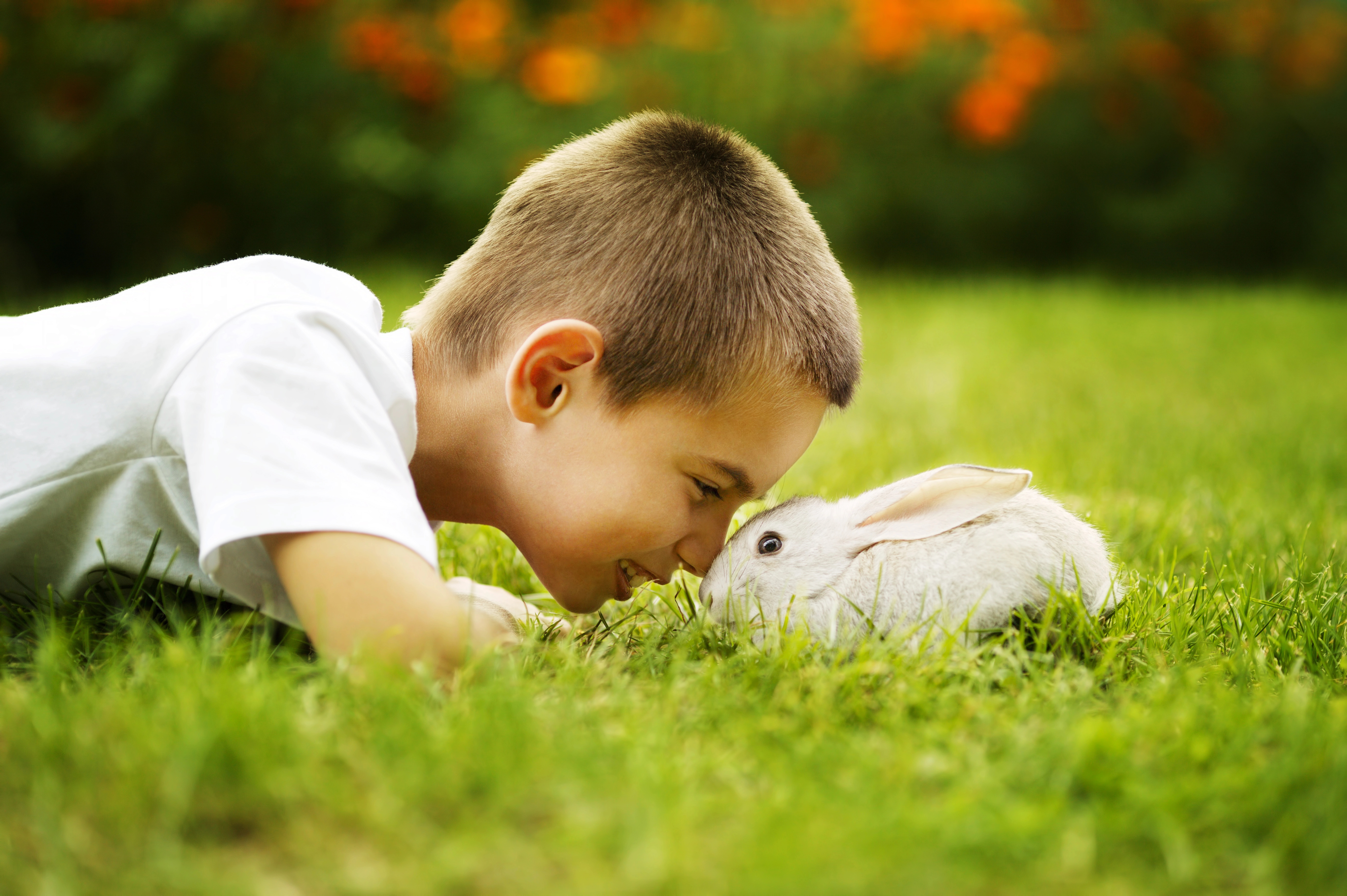 Child with rabbit