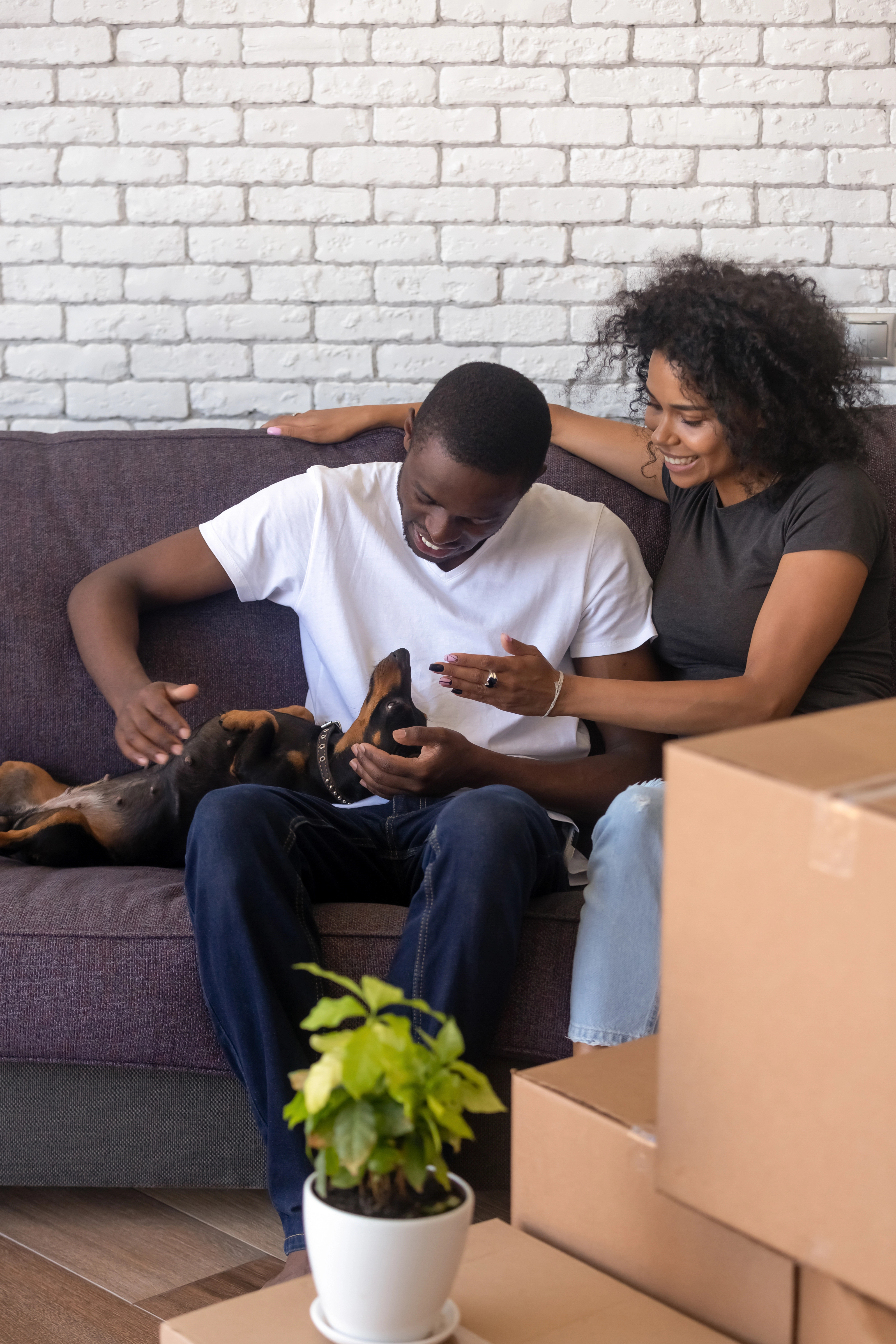 Couple relaxing with dog