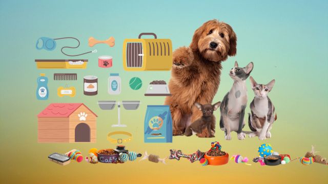 Pet supplies, toys, and gear with cats and a dog