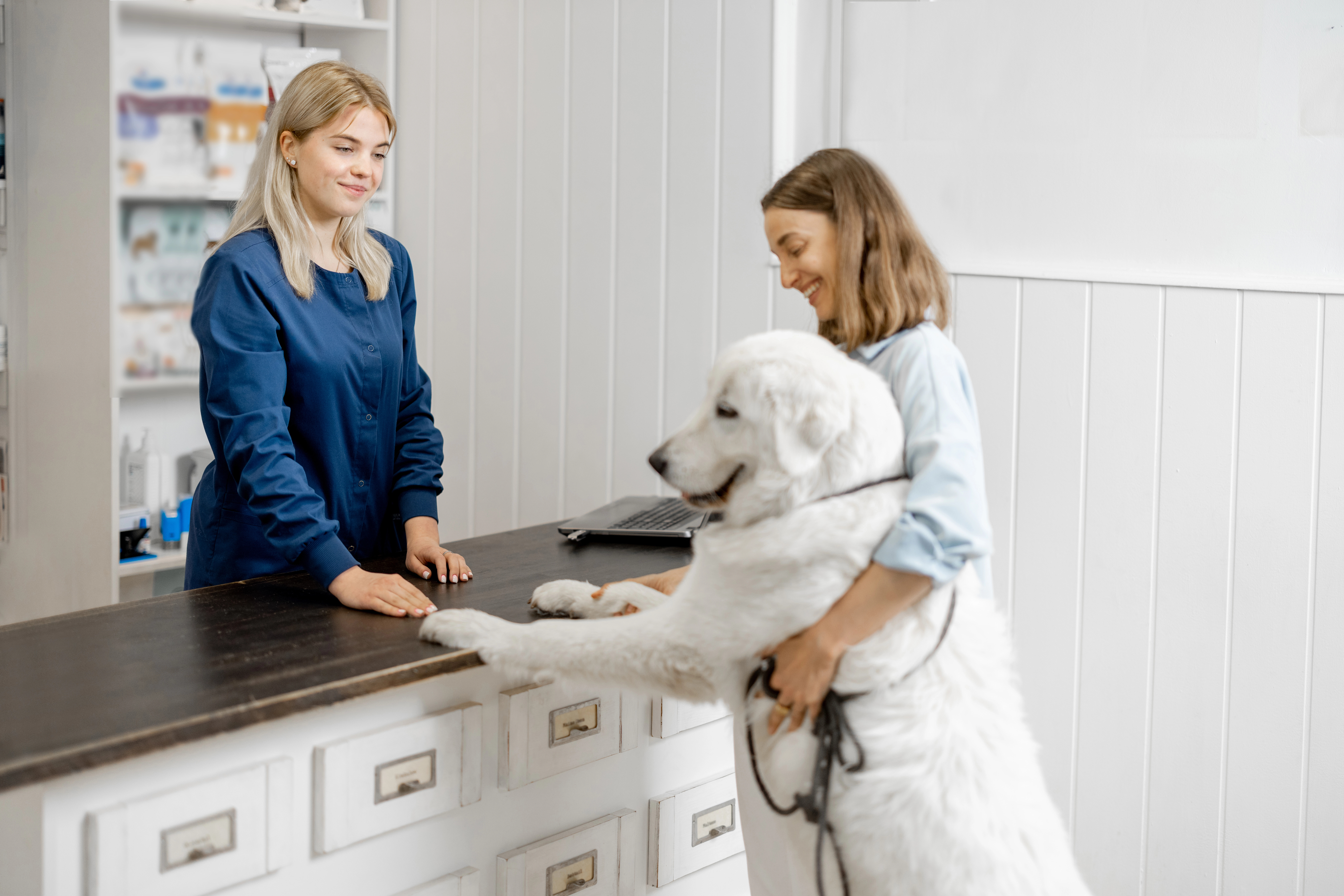 Vet reception with dog