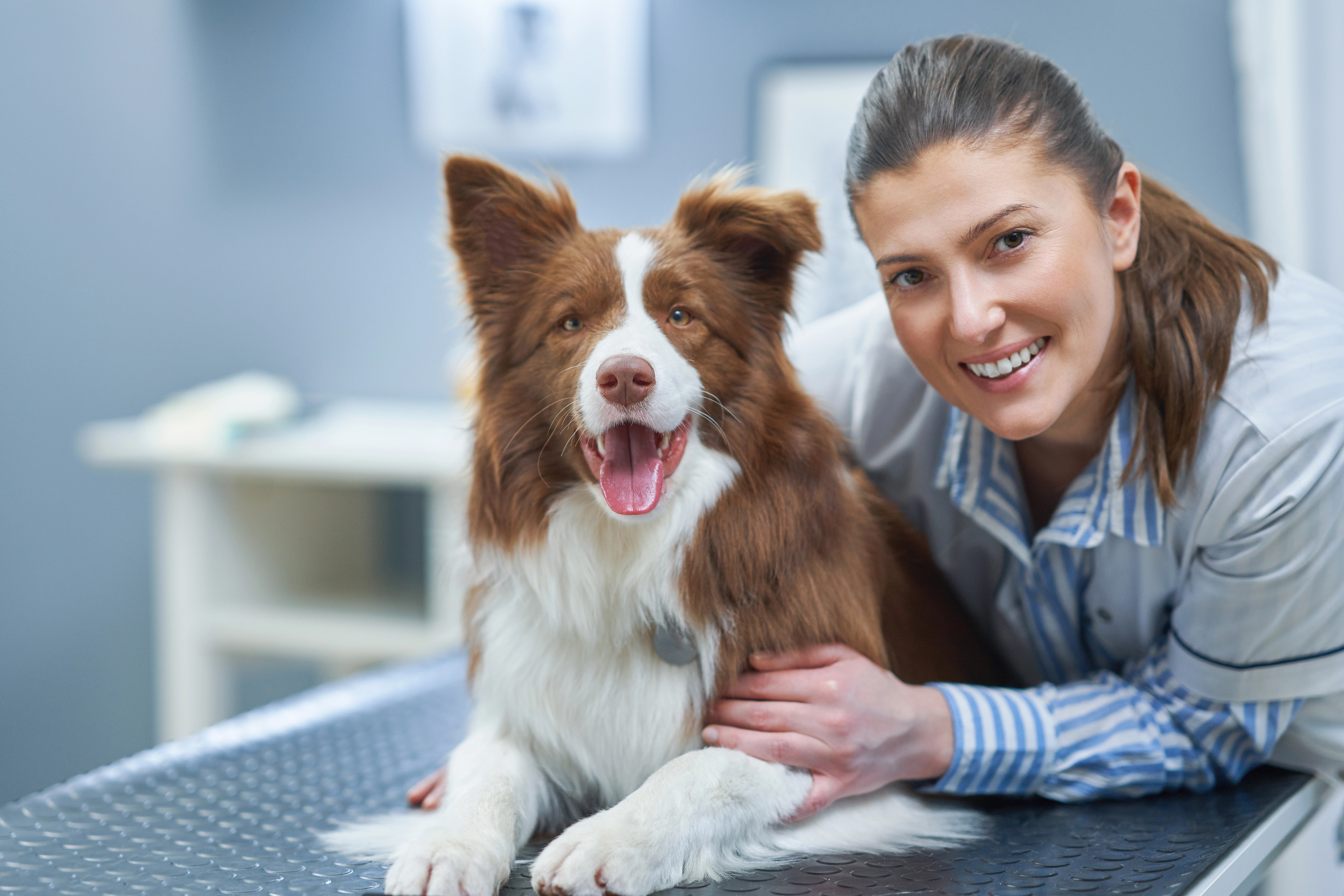 Woman with border collie