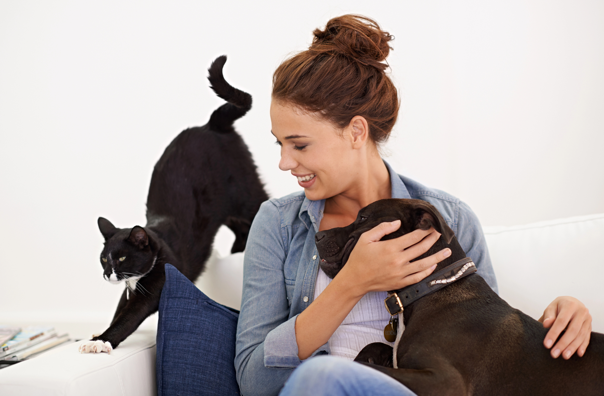 Woman with cat and dog