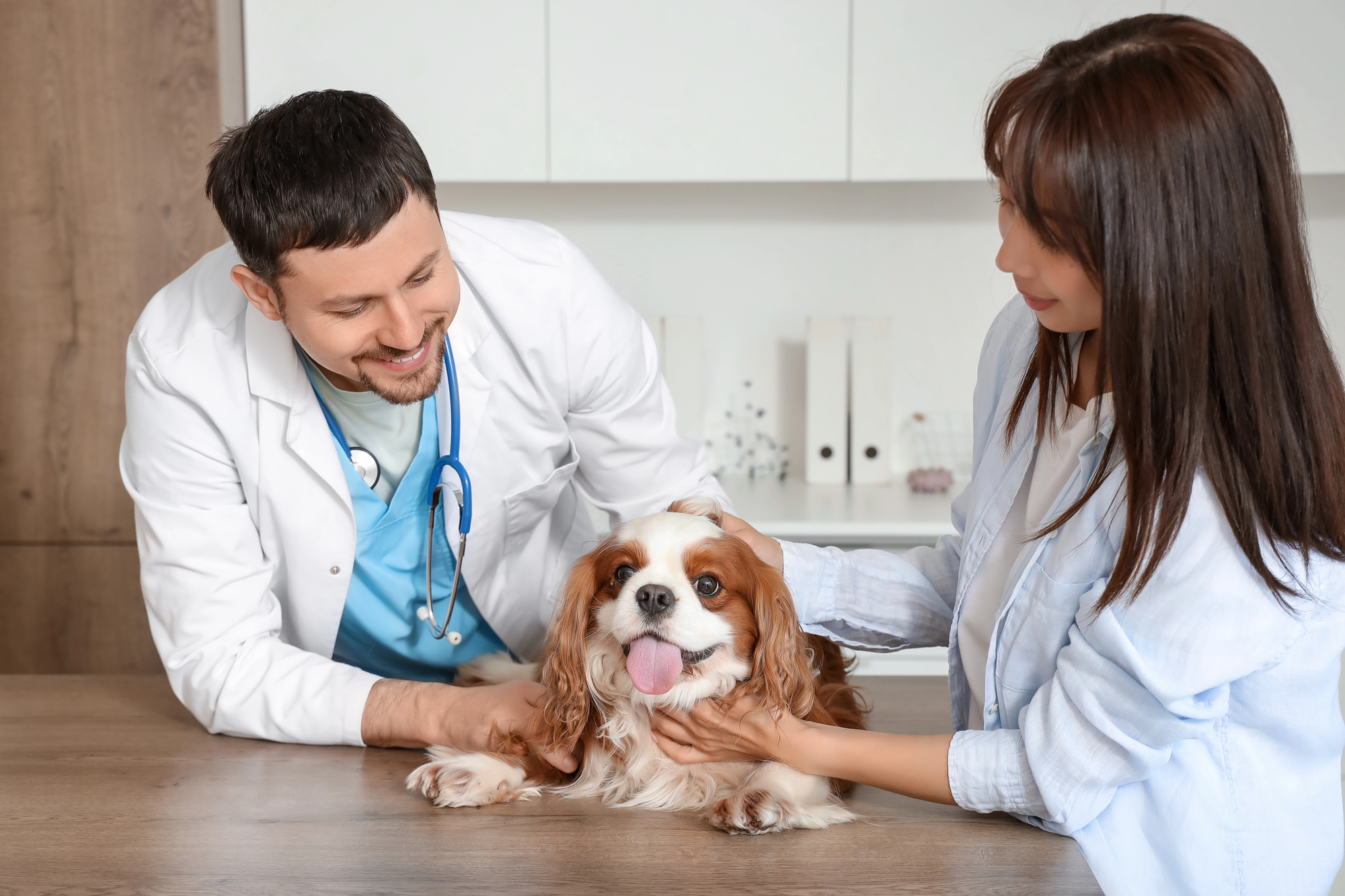 Veterinarian and pet owner with a happy dog — Happy Pet List connects pet care professionals with pet parents